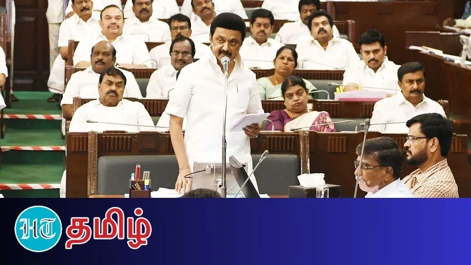 MK Stalin: அரசு ஊழியர்கள் வாயில் சக்கரை கொட்டிய முதல்வர்! 20% போனஸ் அறிவிப்பு