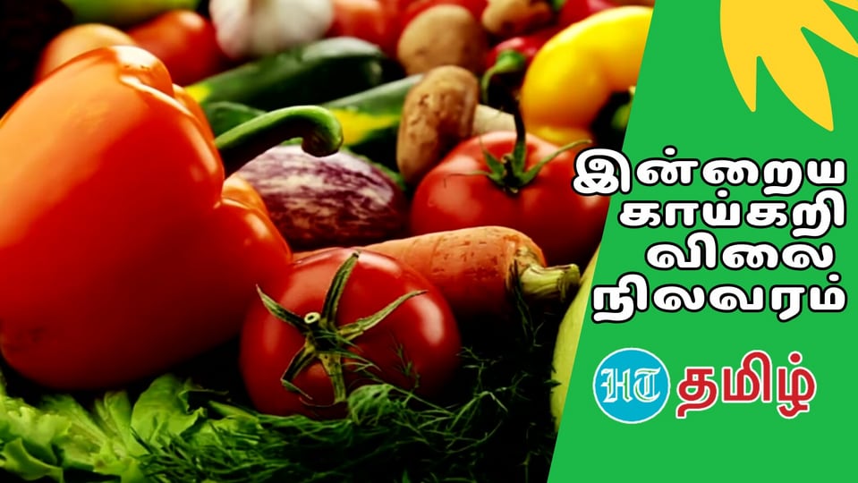 Vegetables Today Price: ‘கத்தரிக்காய் முதல் வாழைப்பூ வரை’ இன்றைய காய்கறிகள் விலை நிலவரம் இதோ!