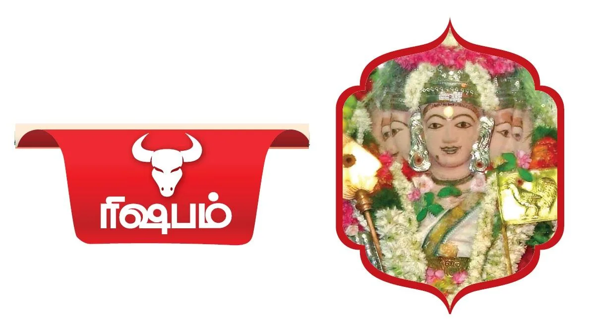 ‘எதிர்பாராத திருப்பம்’ - ரிஷபம் ராசியினருக்கான 2024 ஆங்கிலப் புத்தாண்டு பலன்கள்