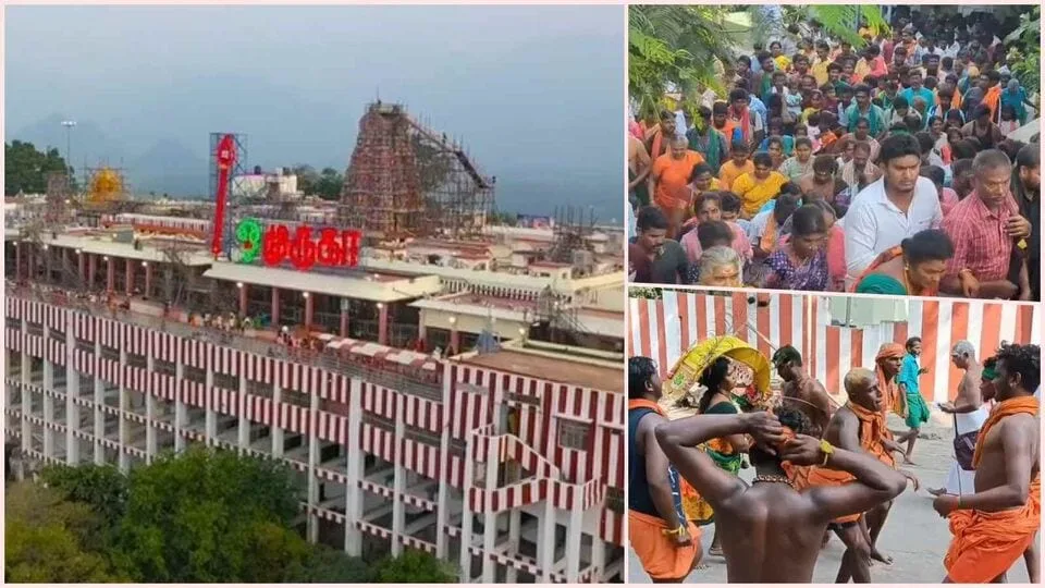 Palani: தைப்பொங்கல் கொண்டாட்டம்! பழனியில் குவிந்த பக்தர்கள் - 5 மணி நேரம் காத்திருந்து சாமி தரிசனம்