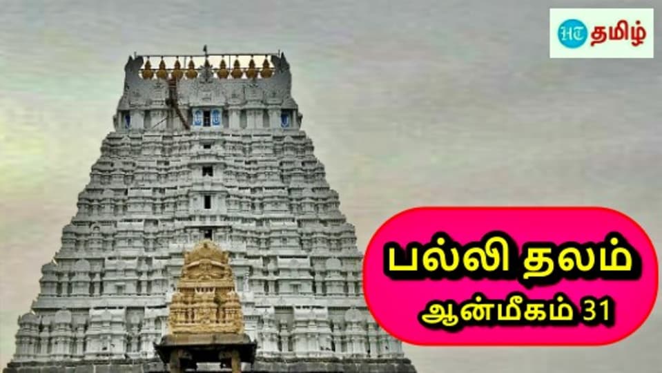 HT Yatra: பல்லிகளுக்கு சாபம் நீங்கிய தலம்.. ஆசி வழங்கிய வரதராஜ பெருமாள்