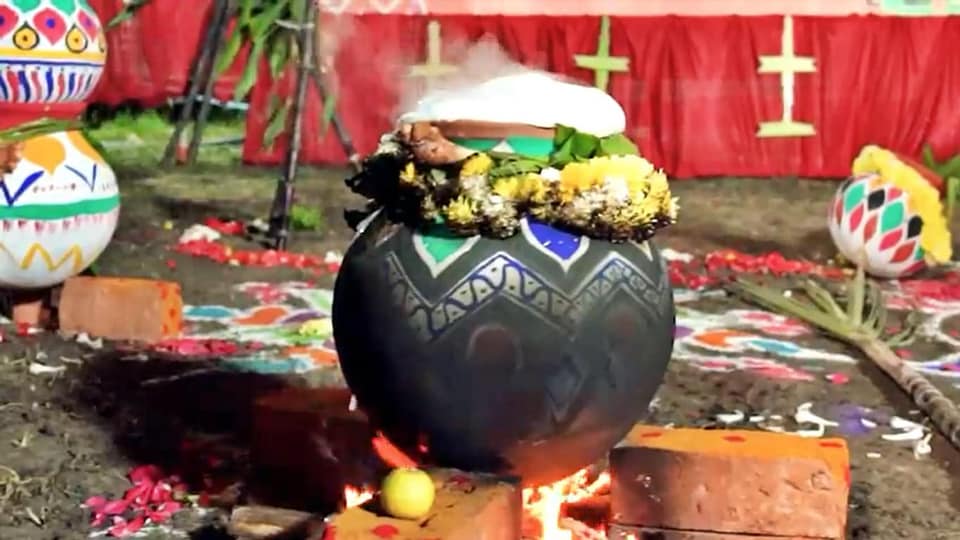 Pongal 2024: இந்த ஆண்டு பொங்கல் வைக்க உகந்த நேரம் எது தெரியுமா?